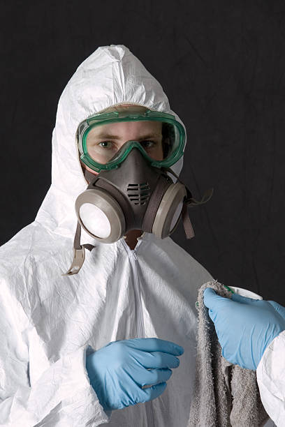 Trusted Loyalhanna, PA Mold Removal Experts
